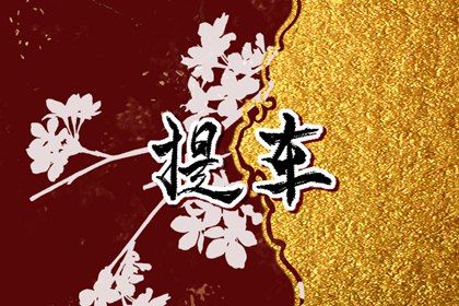 2025年08月08日是提车好日子吗 宜提车吉日查询