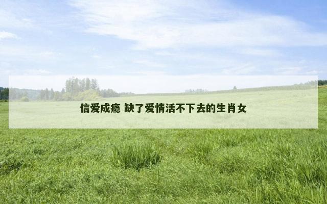 信爱成瘾 缺了爱情活不下去的生肖女
