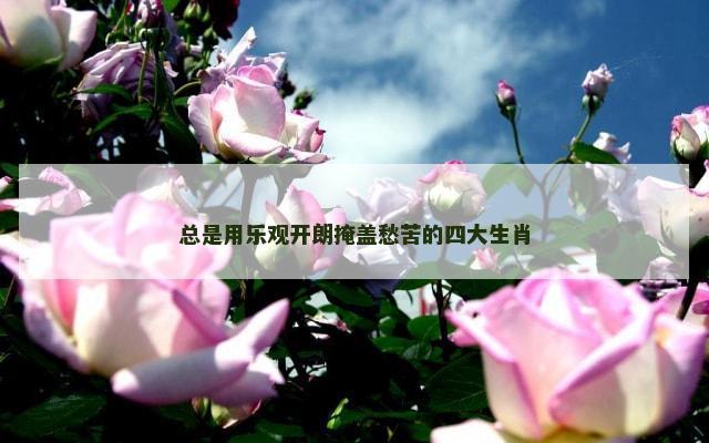 总是用乐观开朗掩盖愁苦的四大生肖