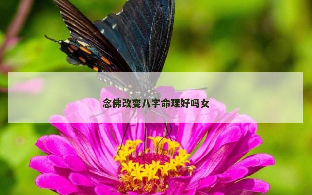念佛改变八字命理好吗女
