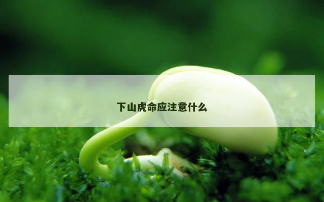 下山虎命应注意什么