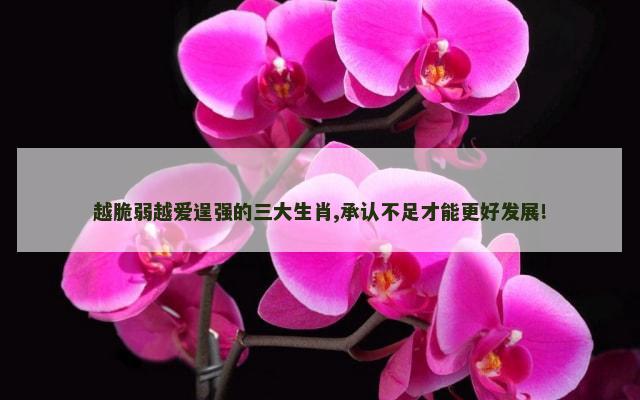 越脆弱越爱逞强的三大生肖,承认不足才能更好发展!