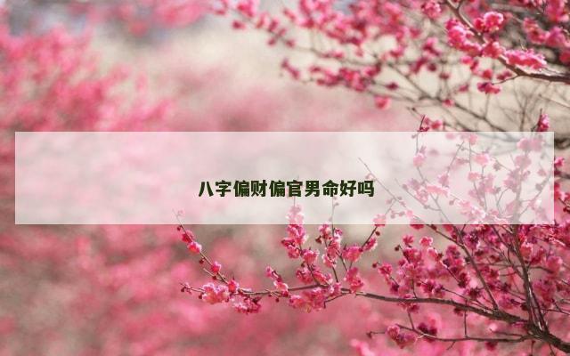 八字偏财偏官男命好吗