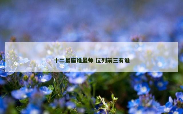 十二星座谁最帅 位列前三有谁