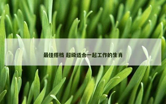 最佳搭档 超级适合一起工作的生肖