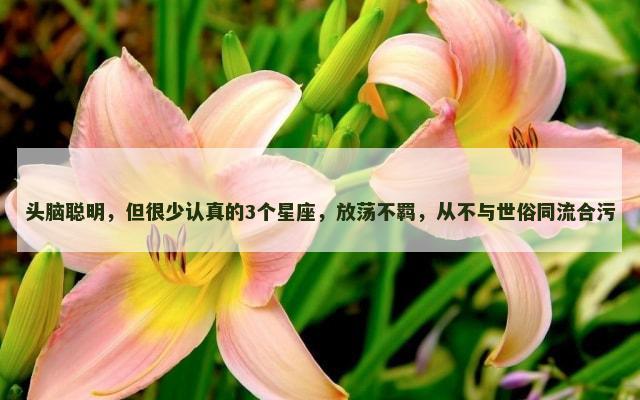 头脑聪明，但很少认真的3个星座，放荡不羁，从不与世俗同流合污