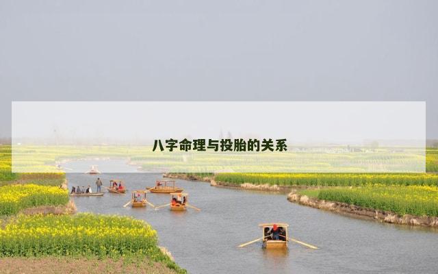 八字命理与投胎的关系
