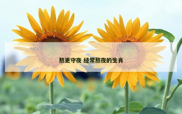 熬更守夜 经常熬夜的生肖