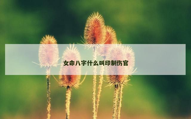 女命八字什么叫印制伤官