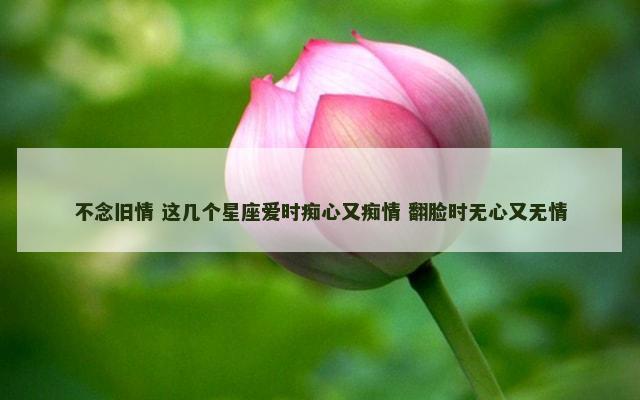 不念旧情 这几个星座爱时痴心又痴情 翻脸时无心又无情