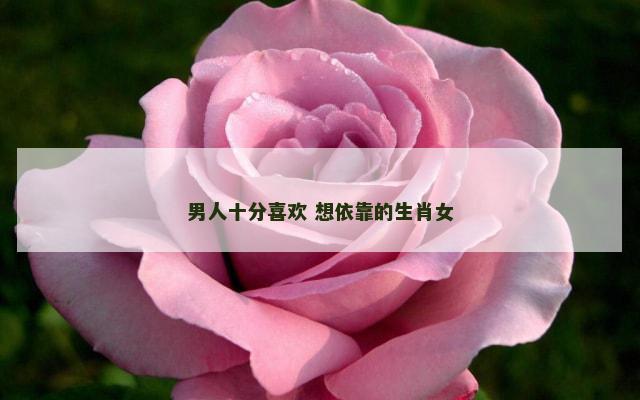男人十分喜欢 想依靠的生肖女