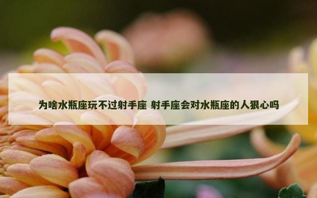 为啥水瓶座玩不过射手座 射手座会对水瓶座的人狠心吗