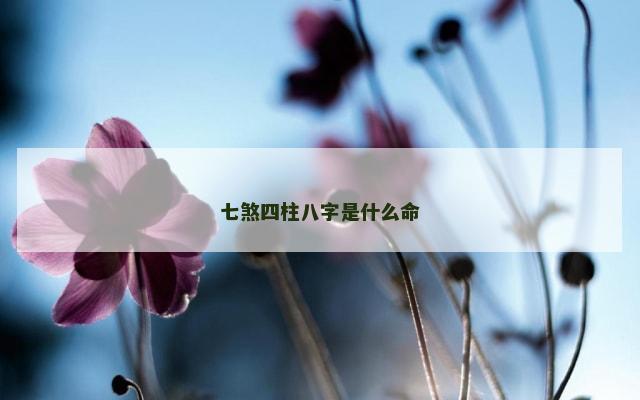 七煞四柱八字是什么命