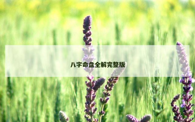 八字命盘全解完整版