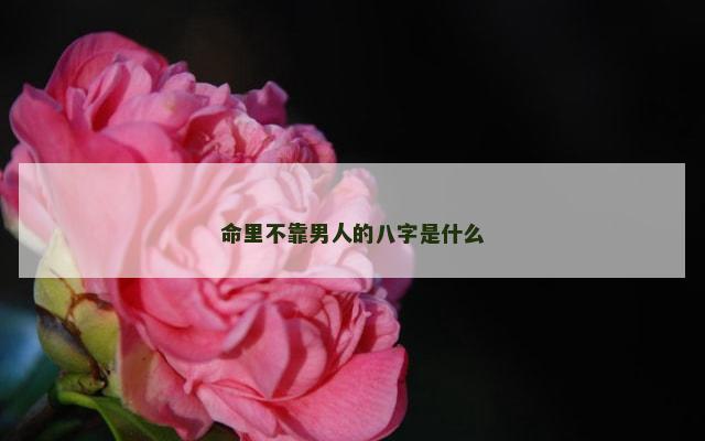 命里不靠男人的八字是什么