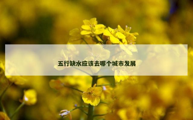 五行缺水应该去哪个城市发展