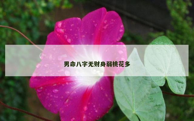 男命八字无财身弱桃花多