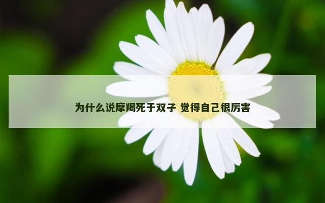 为什么说摩羯死于双子 觉得自己很厉害