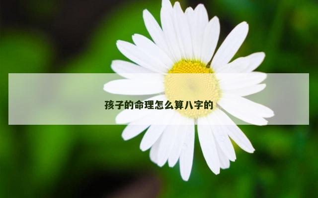 孩子的命理怎么算八字的