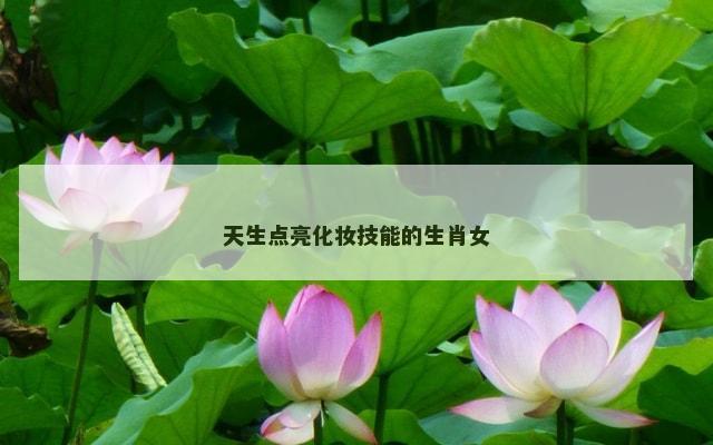 天生点亮化妆技能的生肖女
