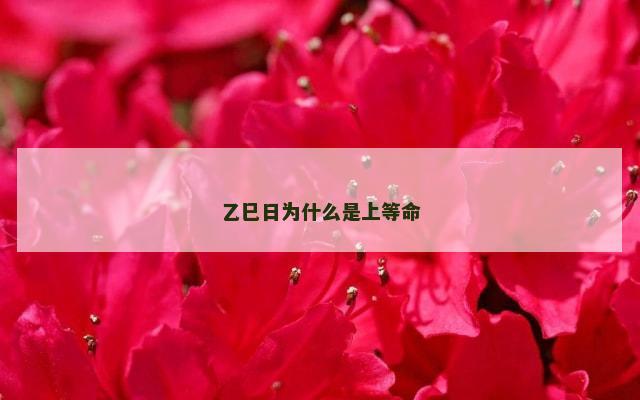 乙巳日为什么是上等命