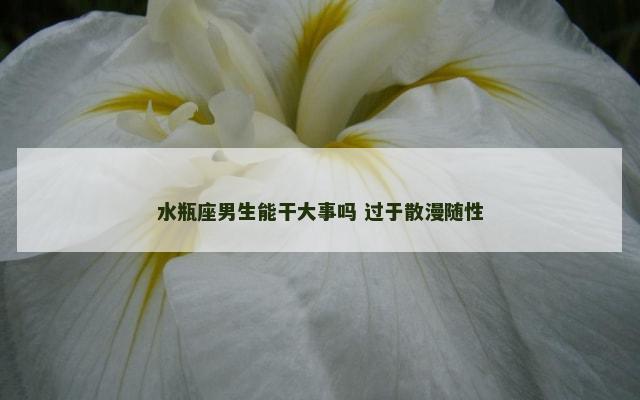 水瓶座男生能干大事吗 过于散漫随性