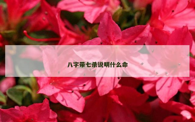 八字带七杀说明什么命
