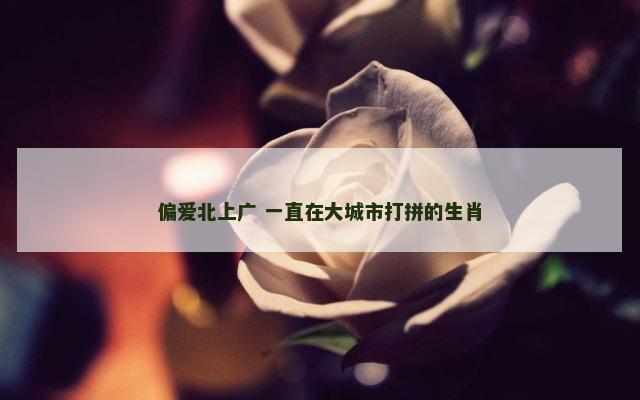 偏爱北上广 一直在大城市打拼的生肖