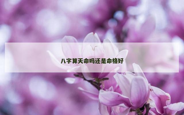 八字算天命吗还是命格好