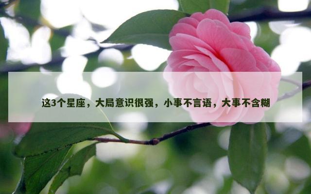 这3个星座，大局意识很强，小事不言语，大事不含糊