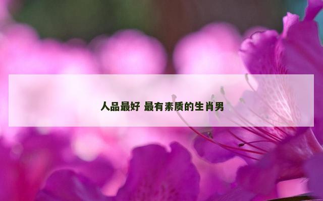 人品最好 最有素质的生肖男