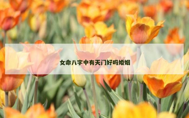 女命八字中有天门好吗婚姻