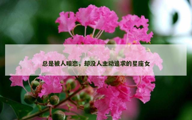 总是被人暗恋，却没人主动追求的星座女
