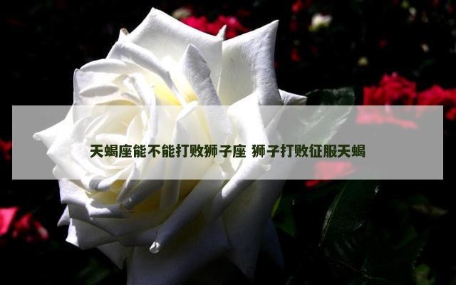 天蝎座能不能打败狮子座 狮子打败征服天蝎