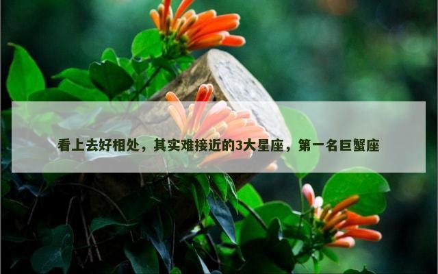 看上去好相处，其实难接近的3大星座，第一名巨蟹座