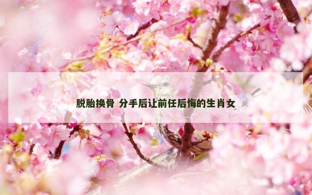 脱胎换骨 分手后让前任后悔的生肖女