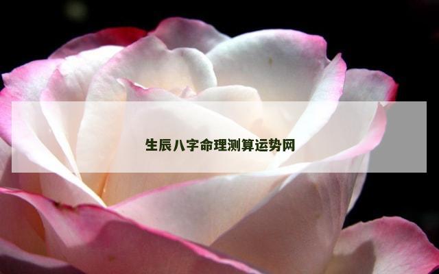 生辰八字命理测算运势网