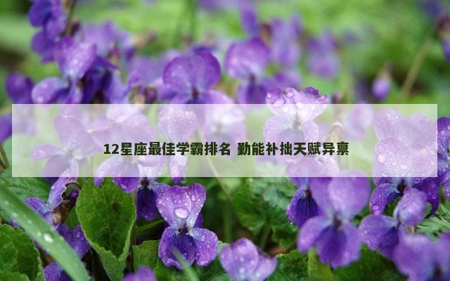 12星座最佳学霸排名 勤能补拙天赋异禀