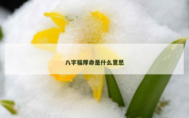八字福厚命是什么意思