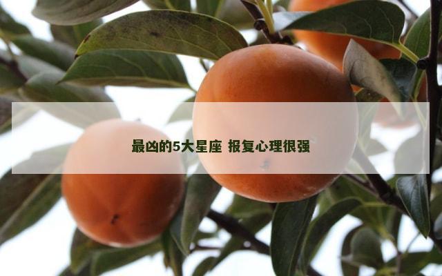 最凶的5大星座 报复心理很强
