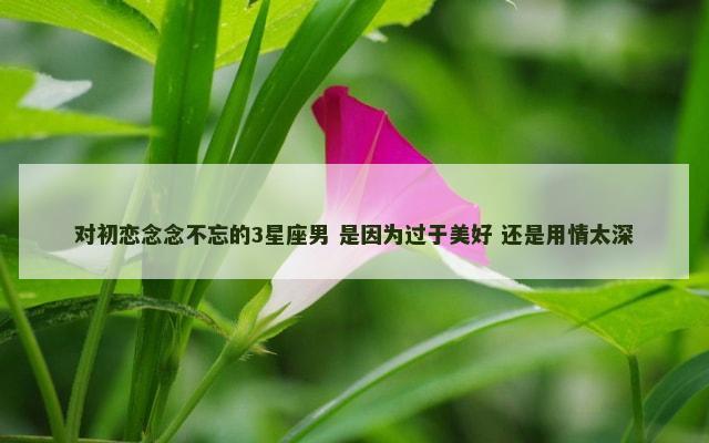 对初恋念念不忘的3星座男 是因为过于美好 还是用情太深