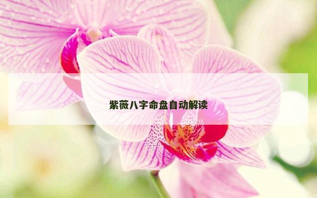 紫薇八字命盘自动解读