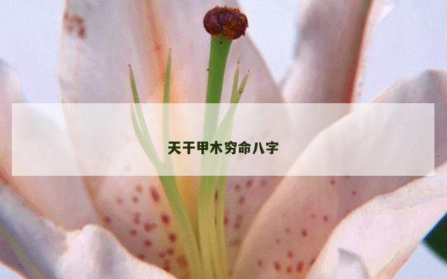 天干甲木穷命八字