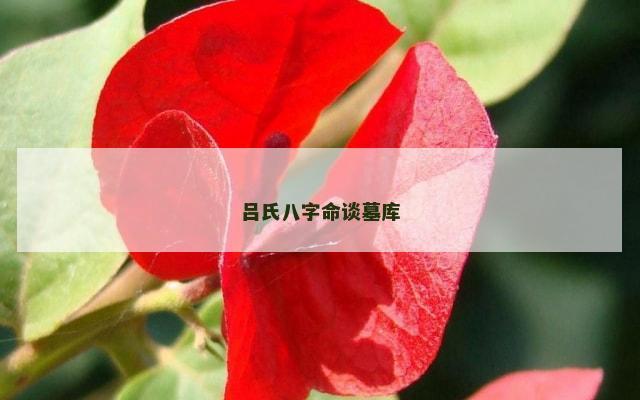 吕氏八字命谈墓库