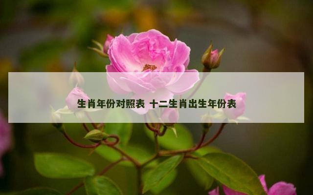 生肖年份对照表 十二生肖出生年份表