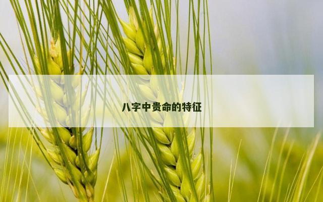 八字中贵命的特征