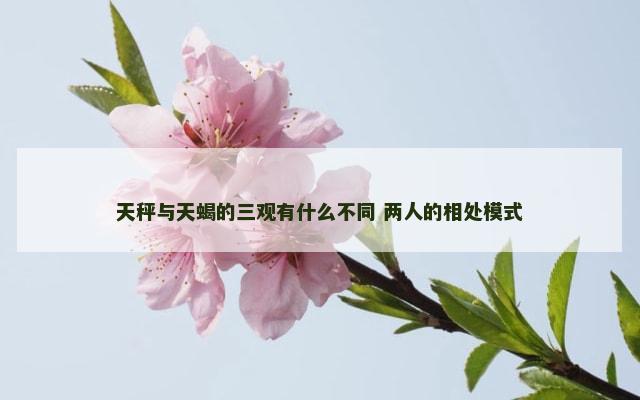 天秤与天蝎的三观有什么不同 两人的相处模式