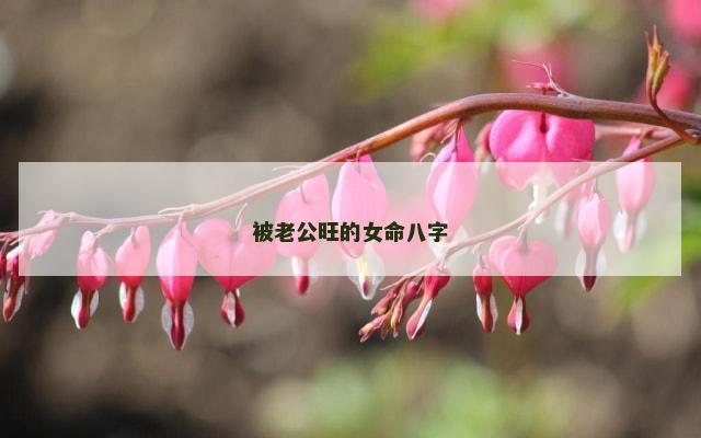 被老公旺的女命八字