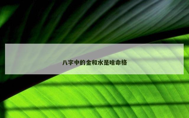八字中的金和水是啥命格