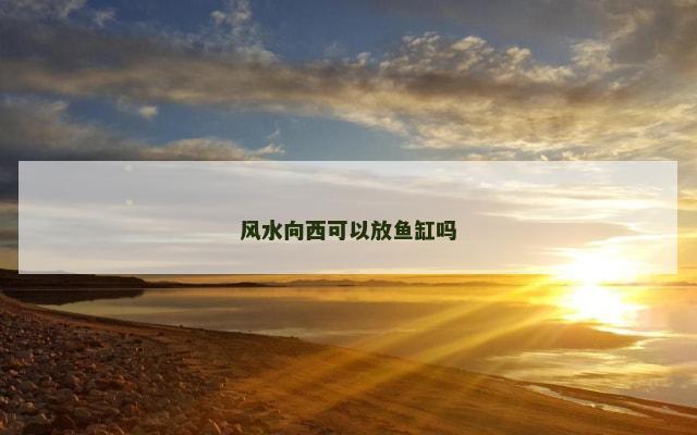 风水向西可以放鱼缸吗